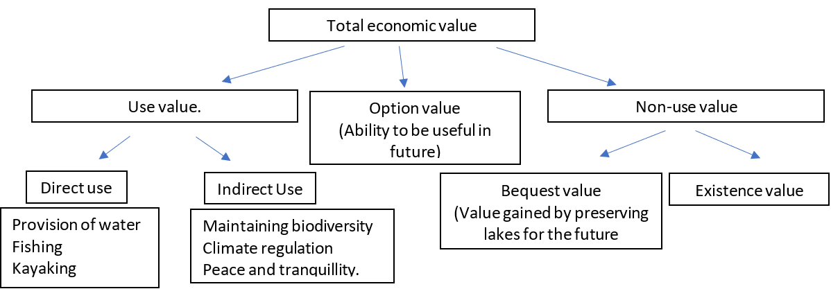 A tree diagram breaking down the total economic value of Edith Lake.