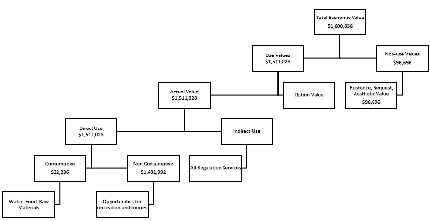 A tree diagram breaking down the total economic value of Pinantan Lake.